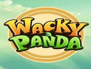 Wacky Panda thumbnail